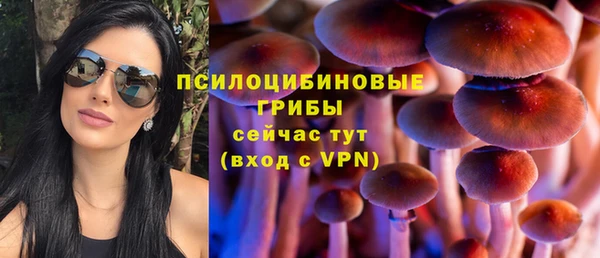 бошки Киреевск