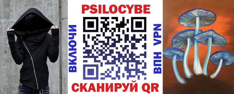 Купить  Велиж  Псилоцибиновые грибы GOLDEN TEACHER 